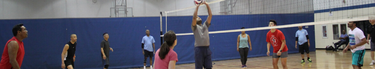 header volleyball