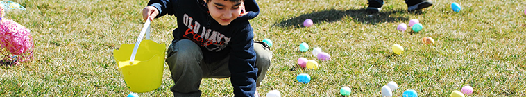 child picking up eggs