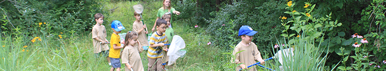 kids walking in a meadow with nets 