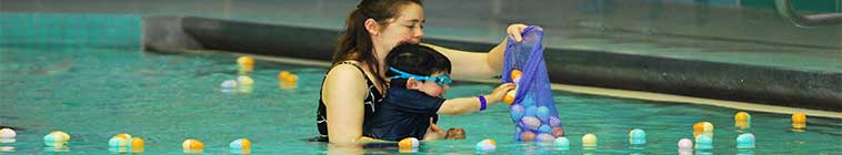 parent and child swimming for eggs