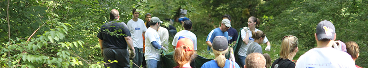 people cleaning a trail